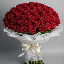 Букет 101 Красная роза Блэк Мэджик во Власово