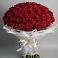 Букет 101 Красная роза Блэк Мэджик во Власово
