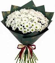 Букет цветов из:  Хризантемы #REPLACE_PRED# Власово