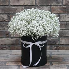 Цветочная композиция из Гипсофила в шляпной коробке во Власово